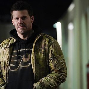 Bilder David Boreanaz