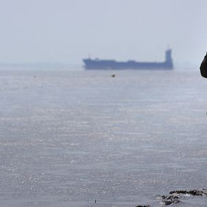 Bilder Die stille Revolution