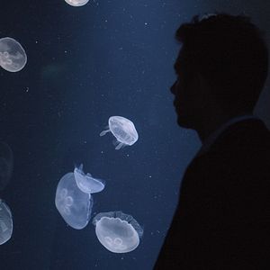 Bilder Die stille Revolution