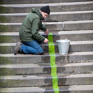Bilder Leaning Into The Wind - Andy Goldsworthy
