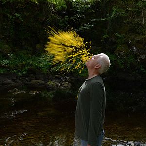 Bilder Leaning Into The Wind - Andy Goldsworthy