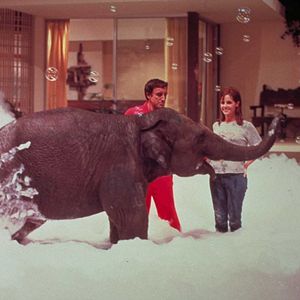 Bilder Claudine Longet