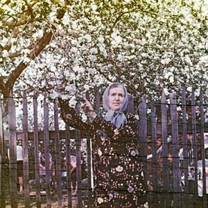 Bilder Liefde is Aardappelen