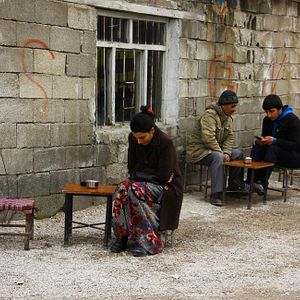 Bilder Ugly Duckling