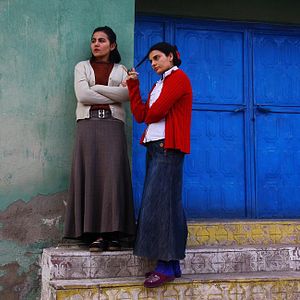 Bilder Ugly Duckling