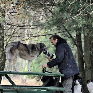 Bilder Citizen Animal - A Small Family's Quest for Animal Rights