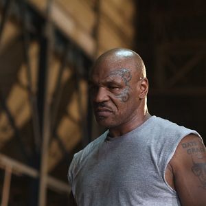 Bilder Mike Tyson