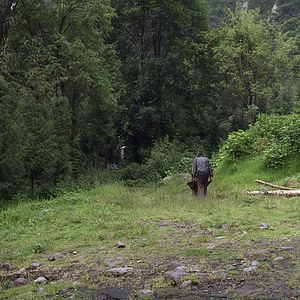 Bilder Regreso al Origen