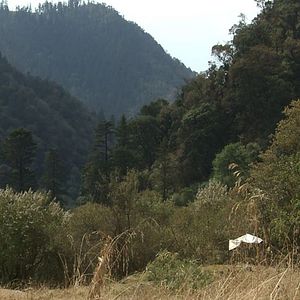 Bilder Regreso al Origen