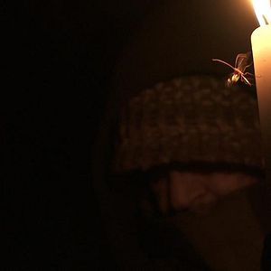 Bilder Regreso al Origen