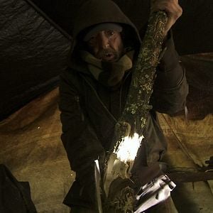 Bilder Regreso al Origen