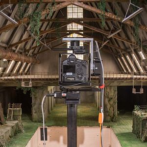 Bilder Isle of Dogs - Ataris Reise