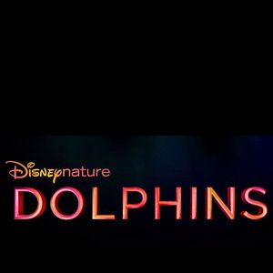 Bilder Delfine