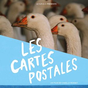 Bilder Les Cartes postales