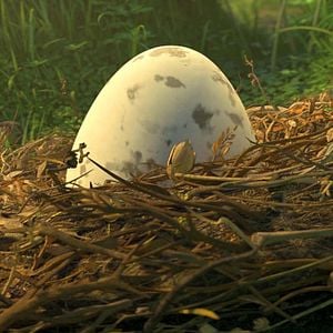 Bilder Ploey - Du fliegst niemals allein