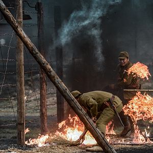 Bilder Wings of Freedom - Auf den Schwingen der Freiheit