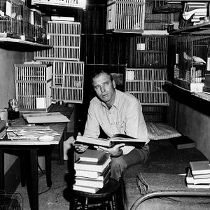 Bilder Der Gefangene von Alcatraz