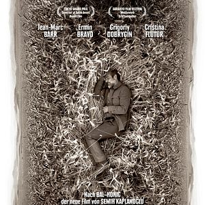 Bilder Grain - Weizen