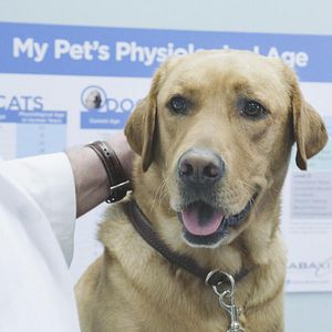 Bilder Hawaii Five-0