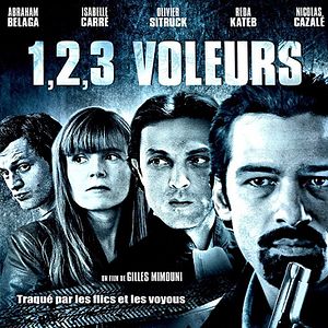 Bilder 1, 2, 3, Voleurs