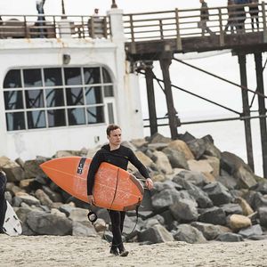 Bilder Animal Kingdom