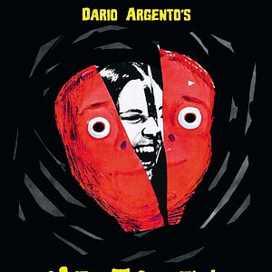 Bilder Vier Fliegen auf grauem Samt