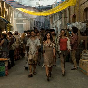 Bilder Cynthia Senek