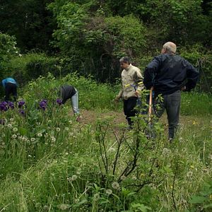 Bilder Nous, les intranquilles