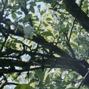 Bilder Aus einem Jahr der Nichtereignisse