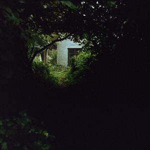 Bilder Aus einem Jahr der Nichtereignisse