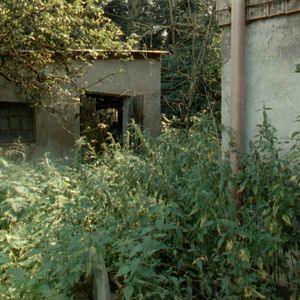 Bilder Aus einem Jahr der Nichtereignisse