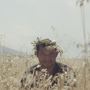 Bilder Laskovoe Bezrazlichie Mira