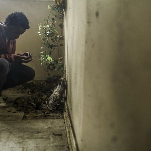 Bilder All These Creatures