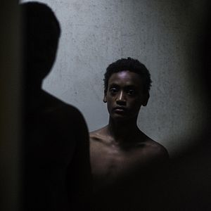 Bilder All These Creatures