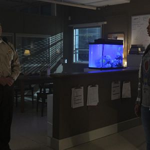 Bilder Gil Birmingham