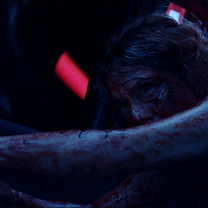 Bilder Paola Bontempi