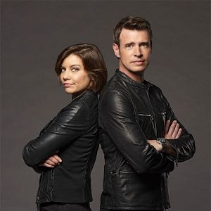 Bilder Whiskey Cavalier