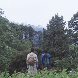 Bilder Honeygiver Among the Dogs