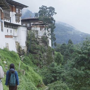 Bilder Honeygiver Among the Dogs