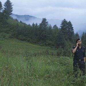 Bilder Honeygiver Among the Dogs