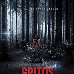 Bilder Whispers of the Forest