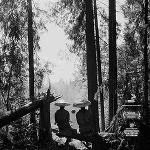 Bilder Yakhonty. Ubiystvo