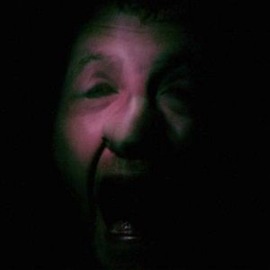 Bilder Animal Kingdom