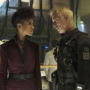 Bilder Dominique Tipper