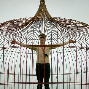 Bilder Crow - Rächer des Waldes