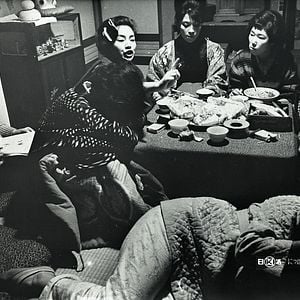 Bilder Das Insektenweib