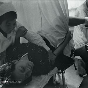 Bilder Das Insektenweib