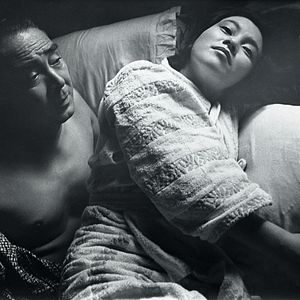 Bilder Das Insektenweib