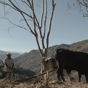 Bilder El Maíz en Tiempos de Guerra