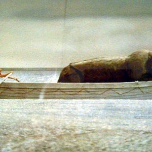 Bilder Fellinis Schiff der Träume